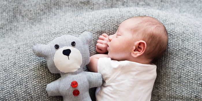 This mum wants to hand-wash her baby's teddies after every visitor