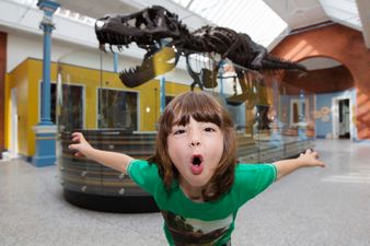 Zoorassic Park is finally at Dublin Zoo and it looks spectacular