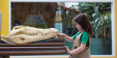Want to visit Zoorassic World? We have an annual Dublin Zoo family pass to give away!