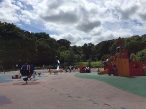 This amazing Dublin playground might just be the best one in the city