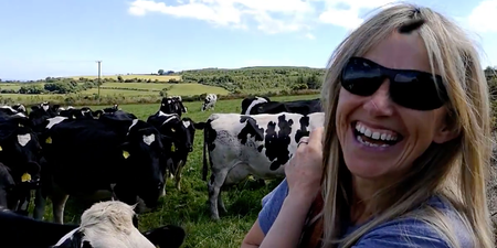 Sharon Shannon serenading cows is the best thing you’ll see today