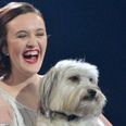 Tragic: Britain’s Got Talent star Pudsey the dog has to be put down