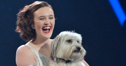 Tragic: Britain’s Got Talent star Pudsey the dog has to be put down