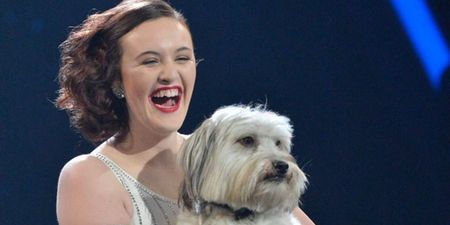 Tragic: Britain’s Got Talent star Pudsey the dog has to be put down