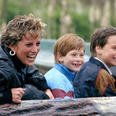 ‘She was a naughty parent’: William and Harry share memories of Diana