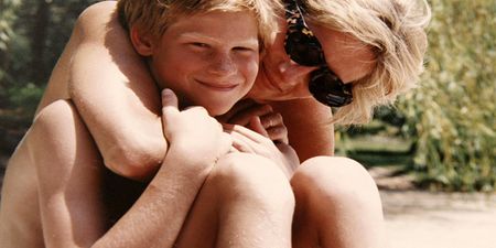 Diana documentary – a heartbreaking picture of her sons’ grief