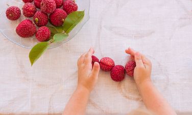 Deaths of 13 children linked to orchard fruit pesticide