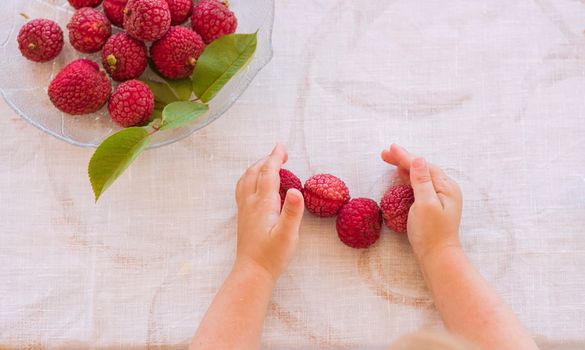 lychee fruit pesticides Endosulfan Bangladesh