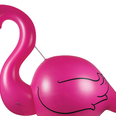 This 3.3 metre flamingo float is serious pool goals
