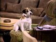 One of the biggest TV shows might be making a comeback
