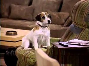 One of the biggest TV shows might be making a comeback