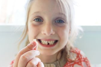 Scientists are urging parents to keep their children’s baby teeth and this is why
