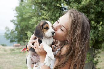 The only people obsessed with pets are the people who don’t have children