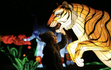 There’s a new nighttime event coming to Dublin Zoo and it sounds amazing