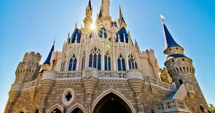 This is what Walt Disney World looks like after Hurricane Irma
