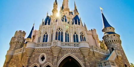 This is what Walt Disney World looks like after Hurricane Irma