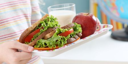 Nutritionists have revealed plans for healthy lunches for Irish school children
