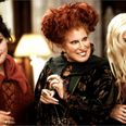 We finally know the release date for Hocus Pocus 2!