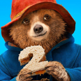 Paddington 2 trailer is finally here and the bear is soon hitting the big screen