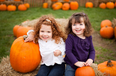 This pumpkin patch event in Meath next month sounds absolutely amazing