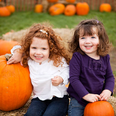 This pumpkin patch event in Meath next month sounds absolutely amazing
