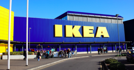 IKEA have released a new range of pet furniture and it’s glorious