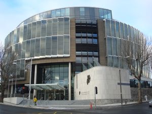 Irish teen pleads guilty to killing beloved dog by kicking it over the head of its owner