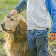 Children growing up with dogs less likely to suffer from mental health issues