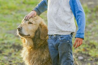 Children growing up with dogs less likely to suffer from mental health issues