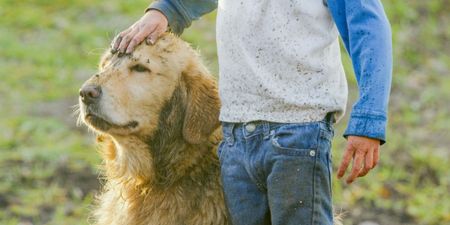Children growing up with dogs less likely to suffer from mental health issues