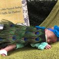 This hospital held cutest Halloween costume contest for NICU babies