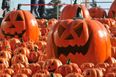 This Irish city is one of the best places in the world to celebrate Halloween