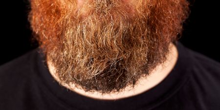 So, THIS is why some non-ginger men end up with ginger beards