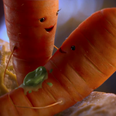 Aldi’s Christmas ad will have you rooting for two carrots in love