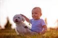 Having a pet at home could protect kids from certain conditions