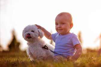 Having a pet at home could protect kids from certain conditions