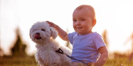 Having a pet at home could protect kids from certain conditions