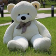 This giant cuddly teddy bear has one MAJOR flaw