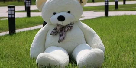 This giant cuddly teddy bear has one MAJOR flaw