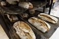 This bread has mashed up insects in it (and we feel like gagging)