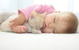 This video of a kitten cuddling a baby in a blanket is just too sweet