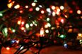 It turns out we’ve been hanging our Christmas lights wrong this whole time