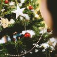 Research suggests that real Christmas trees can be harmful to your health