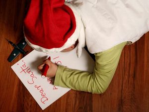 This young boy had a very different request for Santa this year