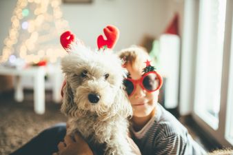 Santa Paws: Lidl is selling Christmas jumpers for dogs for a fiver