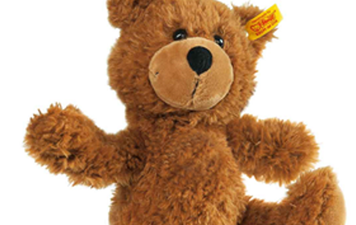Search launched for teddy after little girl accidentally donates him to charity