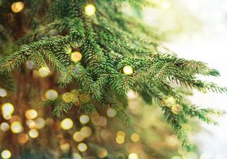 This Christmas Twitter Tree is powered entirely by kindness (and they need your help)