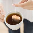 Caution… office tea bags have more germs on them than a toilet seat