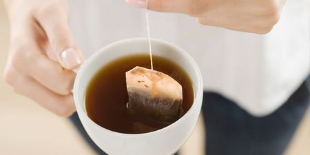 Caution… office tea bags have more germs on them than a toilet seat
