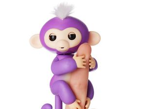 PANIC! Fingerlings are being sold on eBay for 40 times the original price